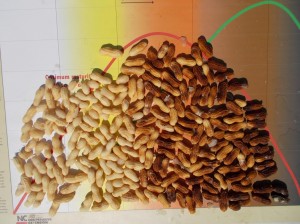 pod maturity profile