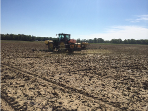 Application of herbicide prior to secondary tillage and planting